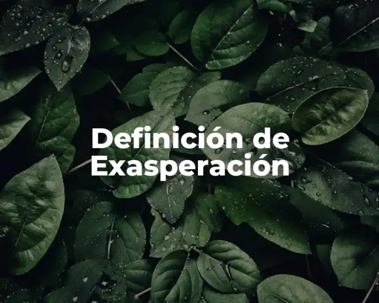Definición de Exasperación