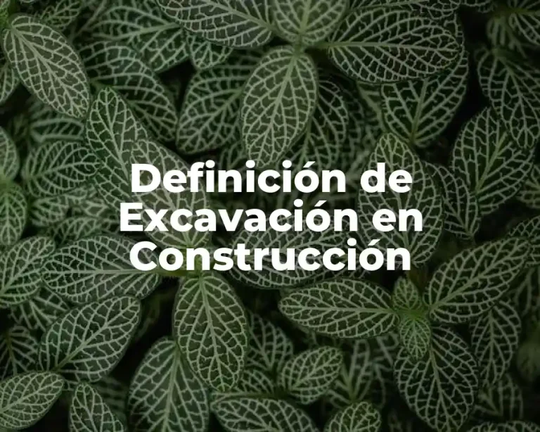 Definición de Excavación en Construcción