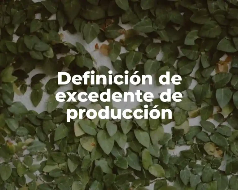 Definición de excedente de producción