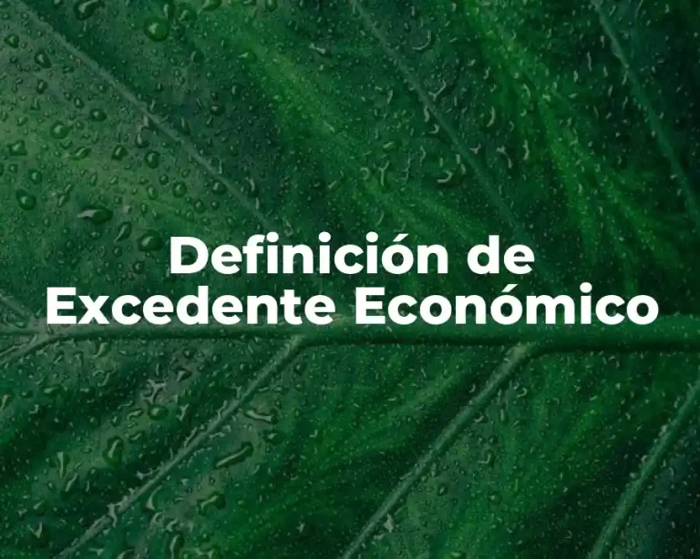 Definición de Excedente Económico