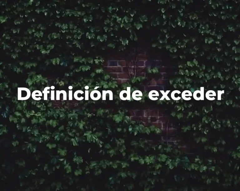 Definición de exceder