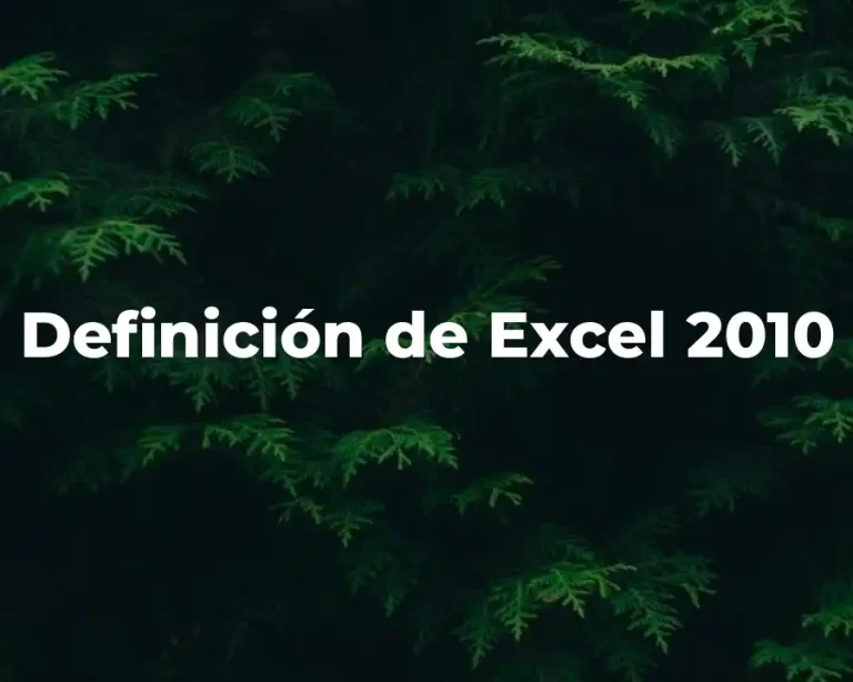 Definición de Excel 2010