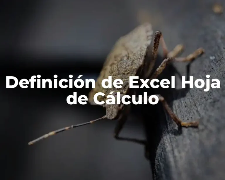 Definición de Excel Hoja de Cálculo