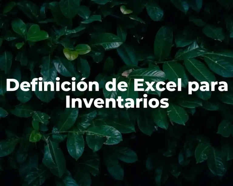 Definición de Excel para Inventarios