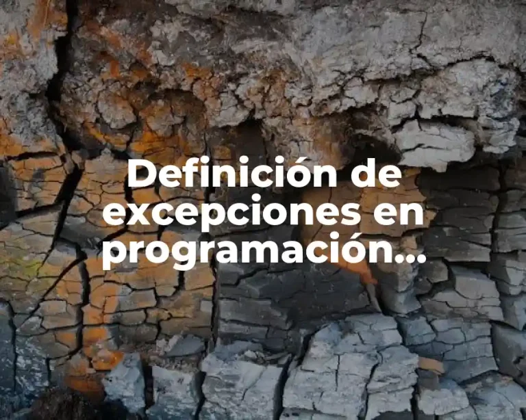 Definición de excepciones en programación orientada a objetos