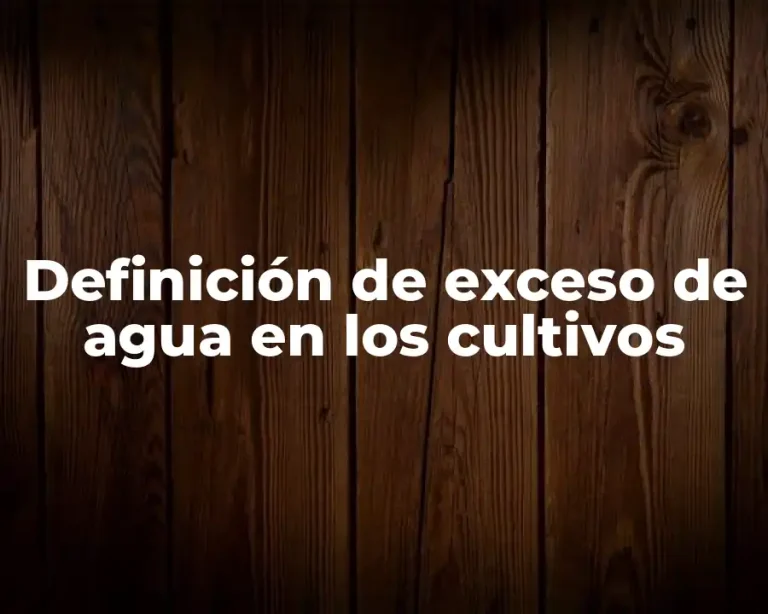 Definición de exceso de agua en los cultivos