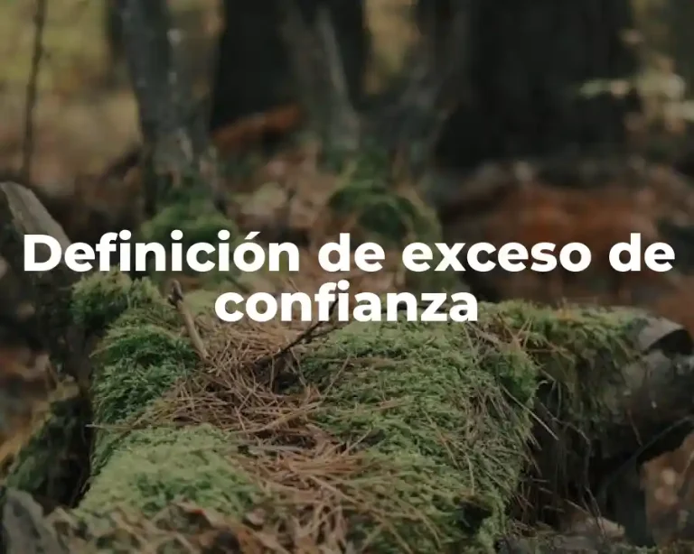 Definición de exceso de confianza