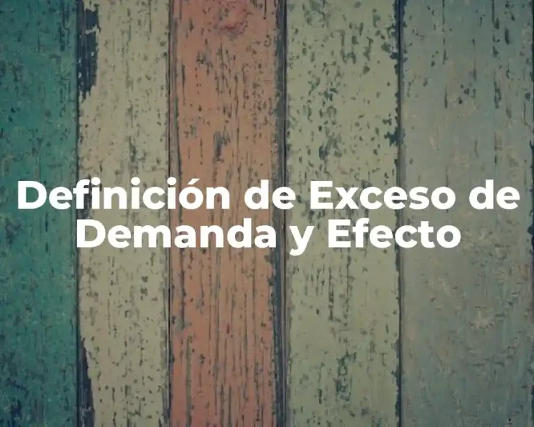 Definición de Exceso de Demanda y Efecto