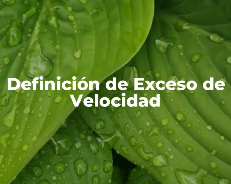 Definición de Exceso de Velocidad