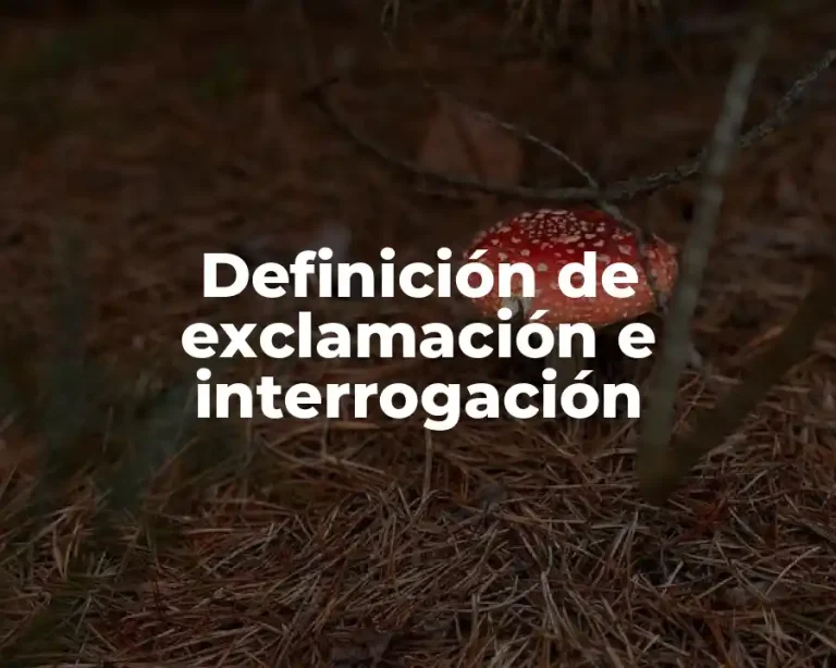 Definición de exclamación e interrogación