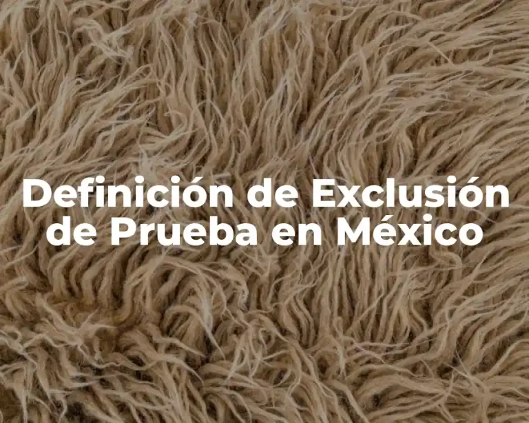 Definición de Exclusión de Prueba en México