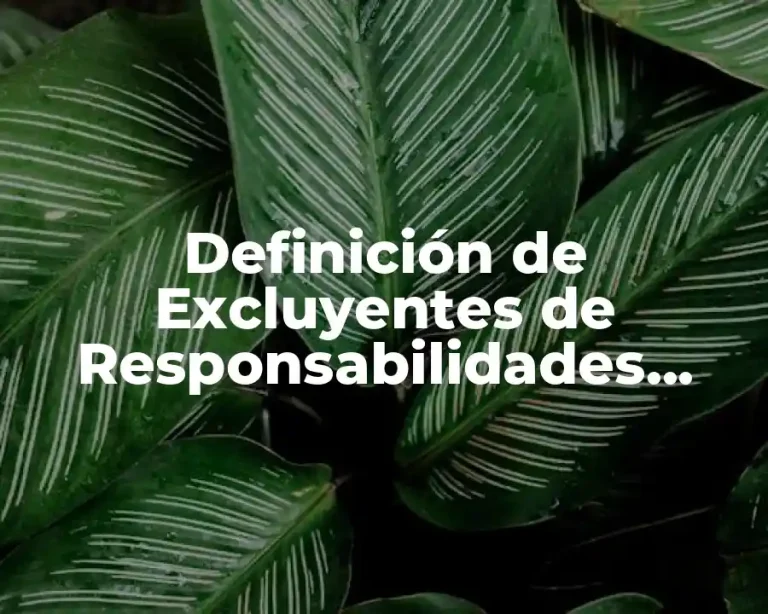 Definición de Excluyentes de Responsabilidades Derecho Penal