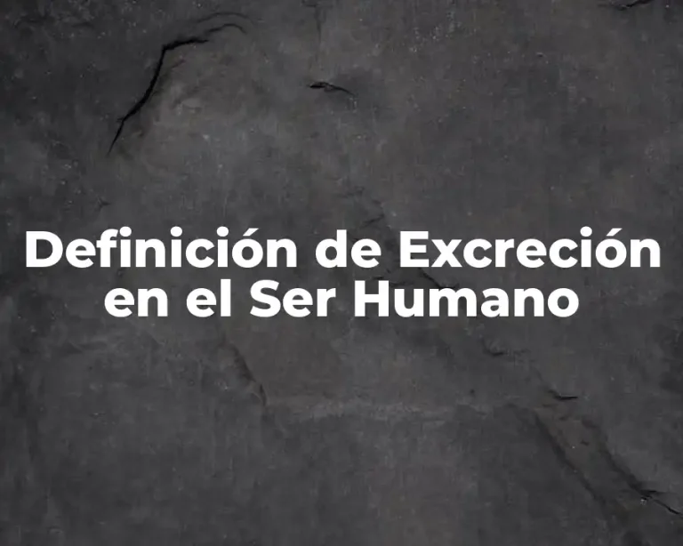 Definición de Excreción en el Ser Humano