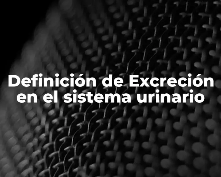 Definición de Excreción en el sistema urinario