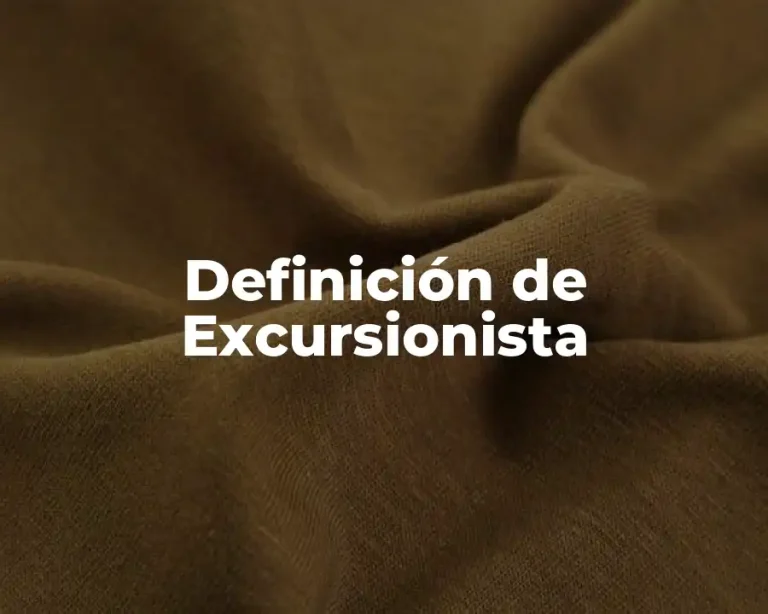 Definición de Excursionista