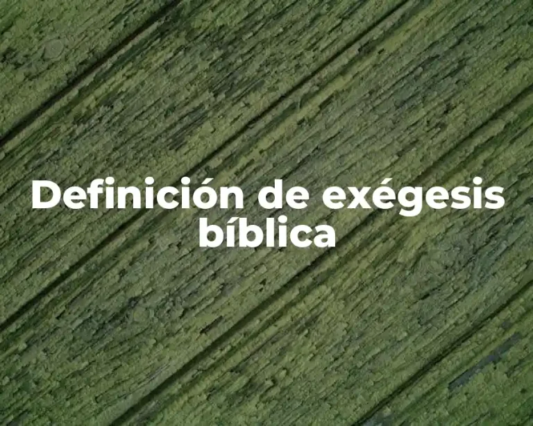 Definición de exégesis bíblica