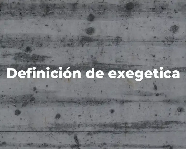 Definición de exegetica