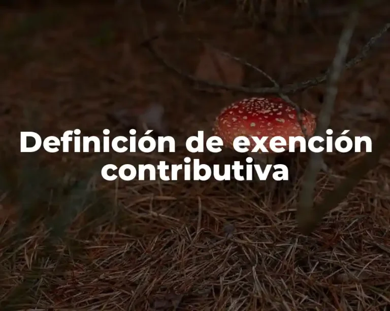 Definición de exención contributiva