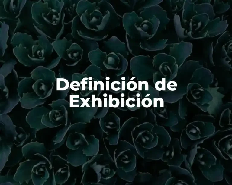 Definición de Exhibición