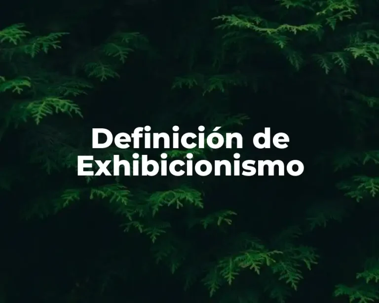 Definición de Exhibicionismo