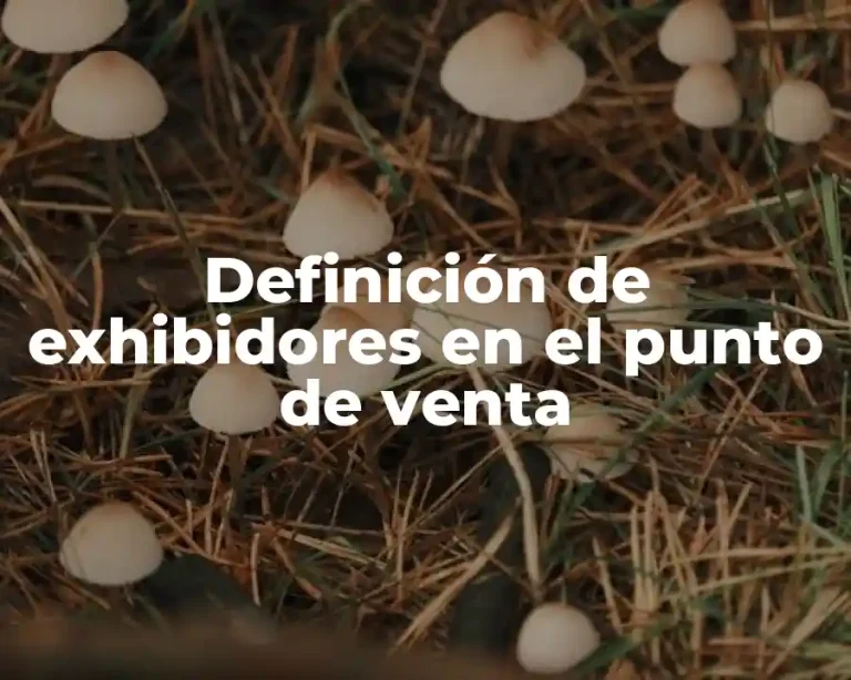 Definición de exhibidores en el punto de venta