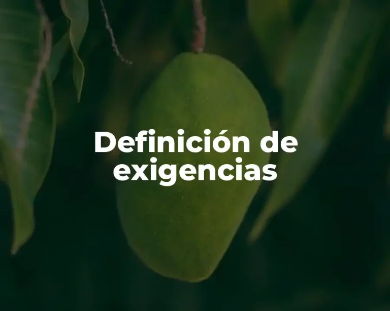 Definición de exigencias