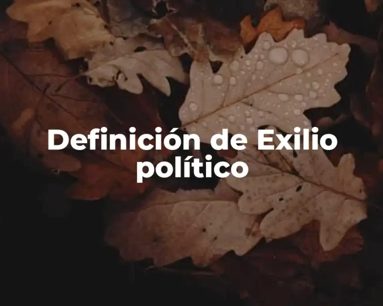 Definición de Exilio político
