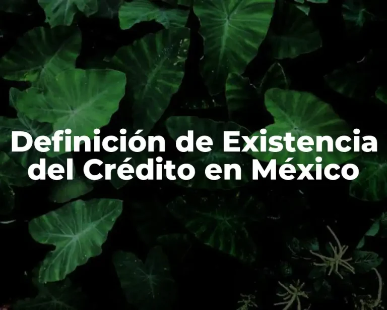 Definición de Existencia del Crédito en México