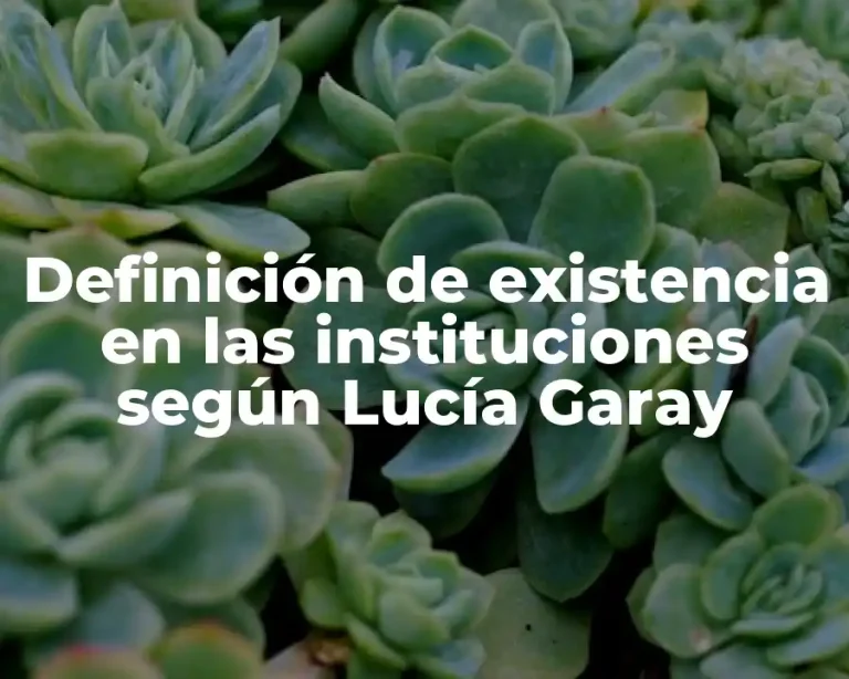 Definición de existencia en las instituciones según Lucía Garay