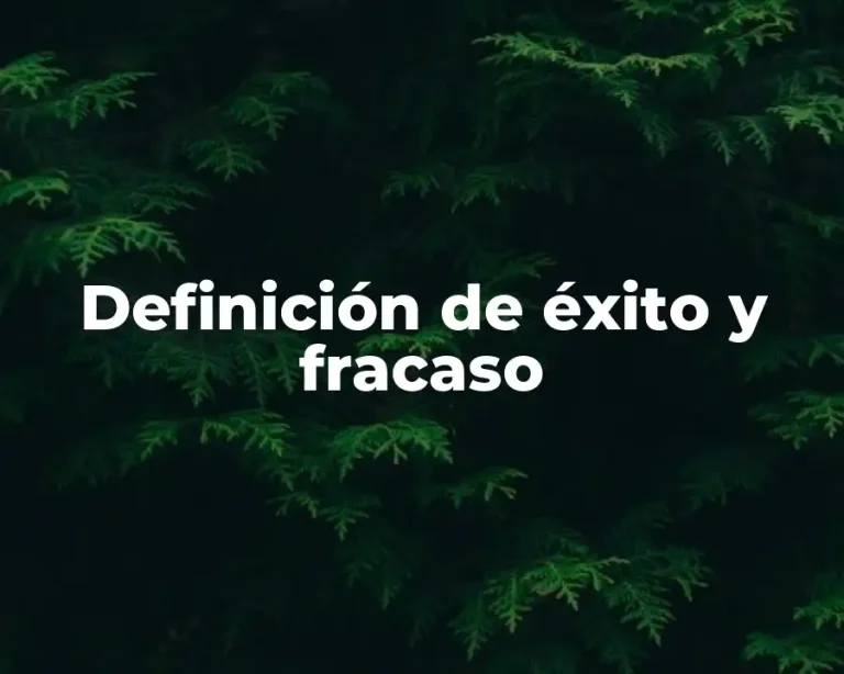 Definición de éxito y fracaso