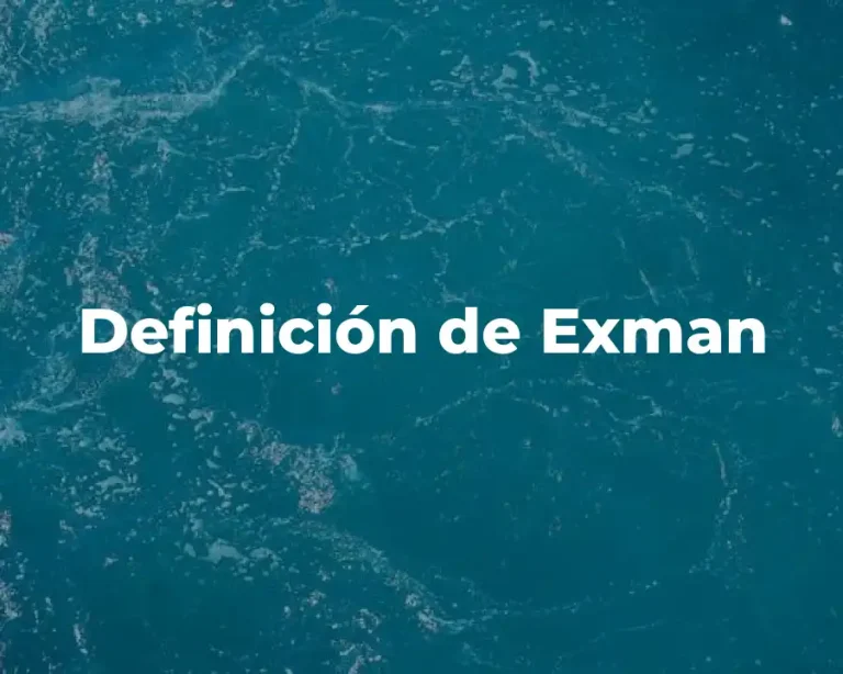 Definición de Exman