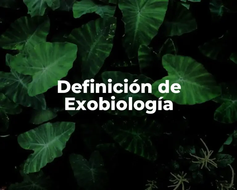 Definición de Exobiología
