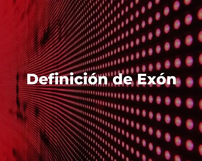 Definición de Exón