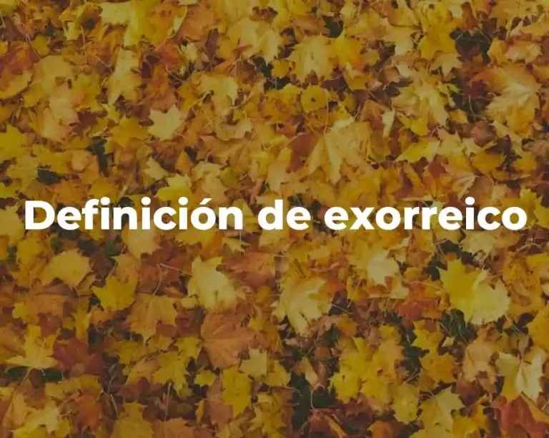 Definición de exorreico