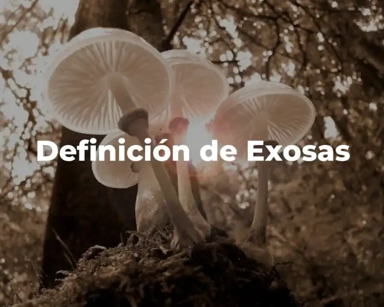 Definición de Exosas