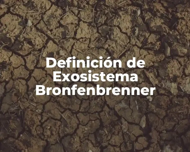 Definición de Exosistema Bronfenbrenner
