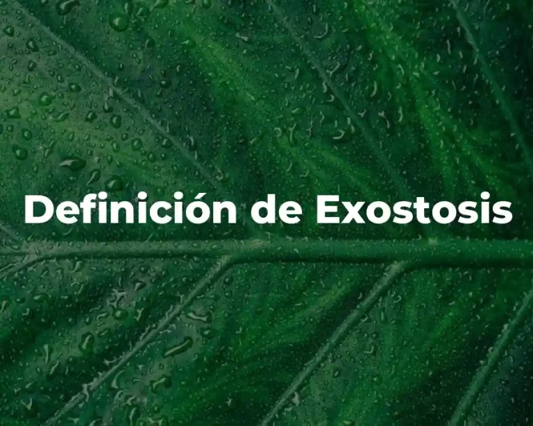 Definición de Exostosis