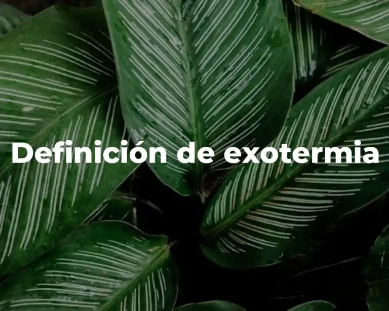Definición de exotermia