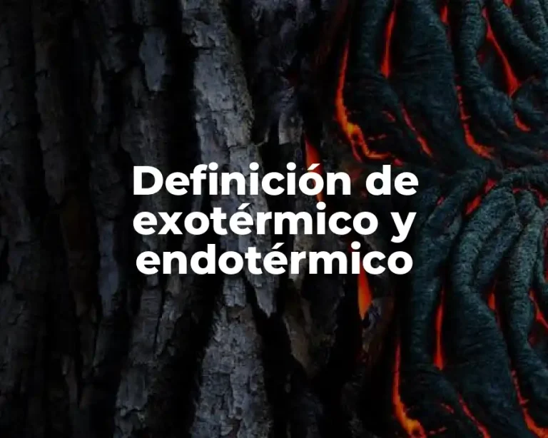 Definición de exotérmico y endotérmico