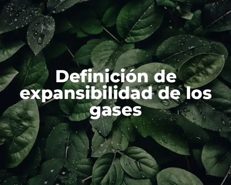 Definición de expansibilidad de los gases