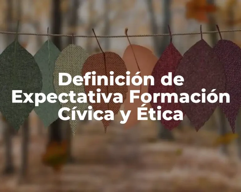 Definición de Expectativa Formación Cívica y Ética