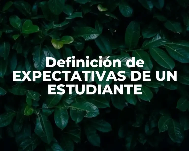Definición de EXPECTATIVAS DE UN ESTUDIANTE
