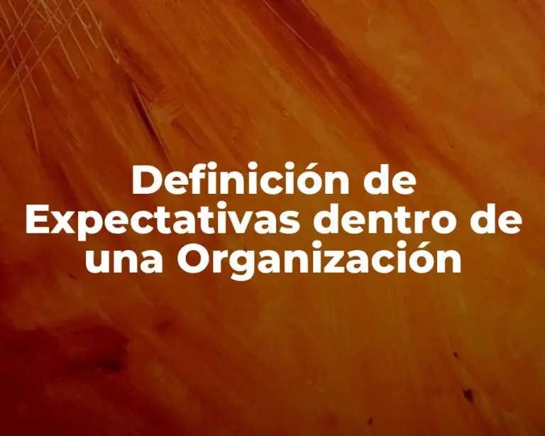 Definición de Expectativas dentro de una Organización