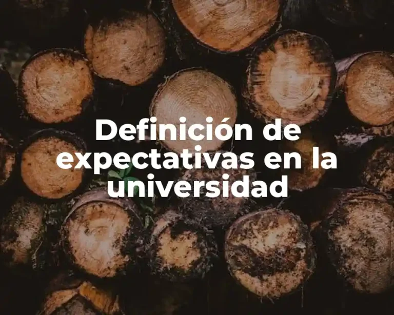 Definición de expectativas en la universidad