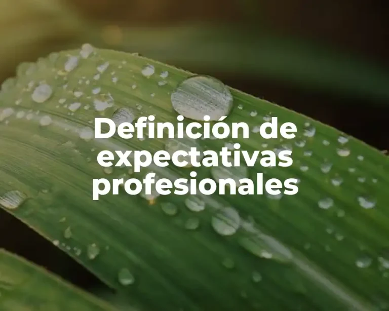 Definición de expectativas profesionales