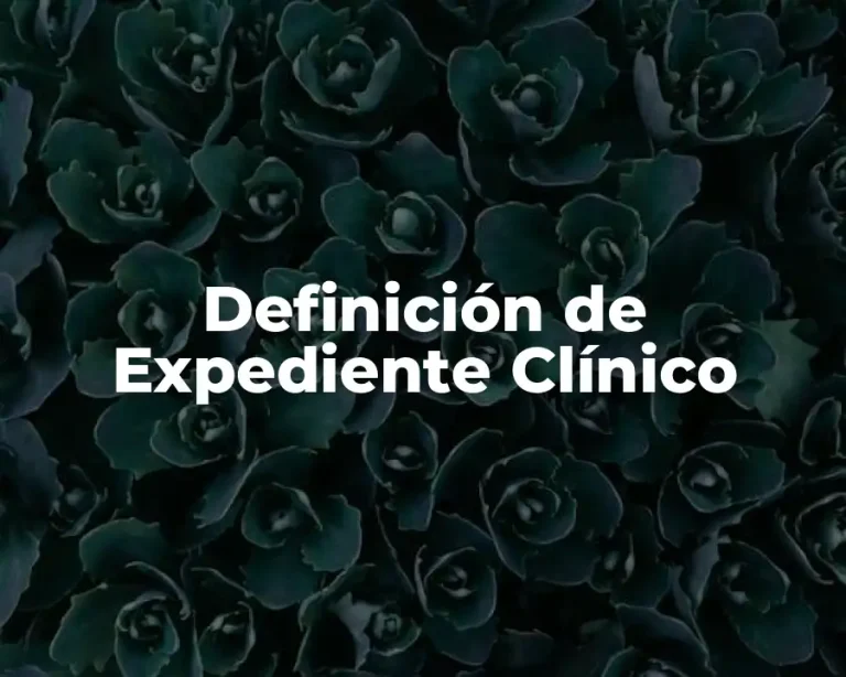 Definición de Expediente Clínico