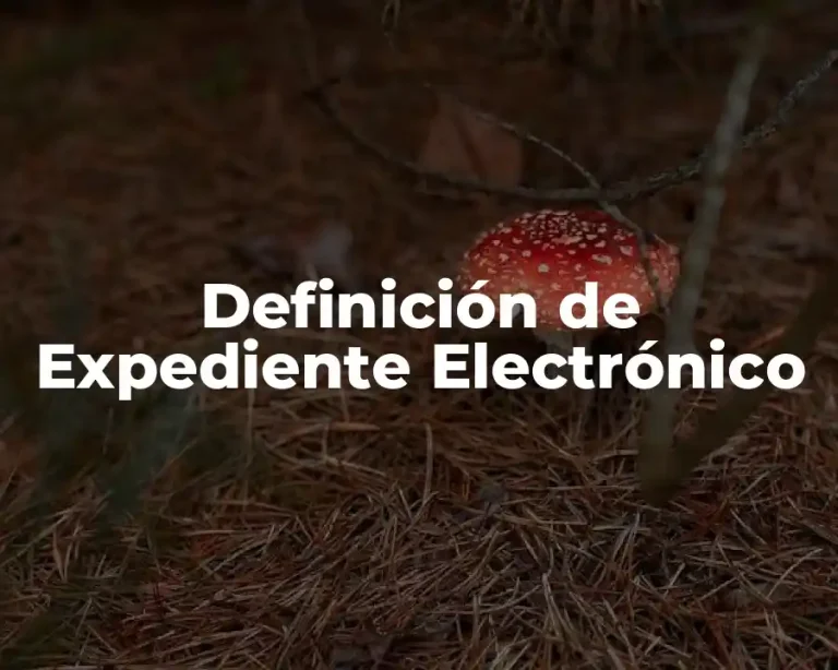 Definición de Expediente Electrónico