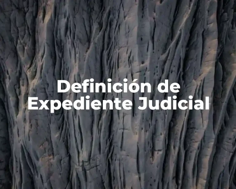 Definición de Expediente Judicial