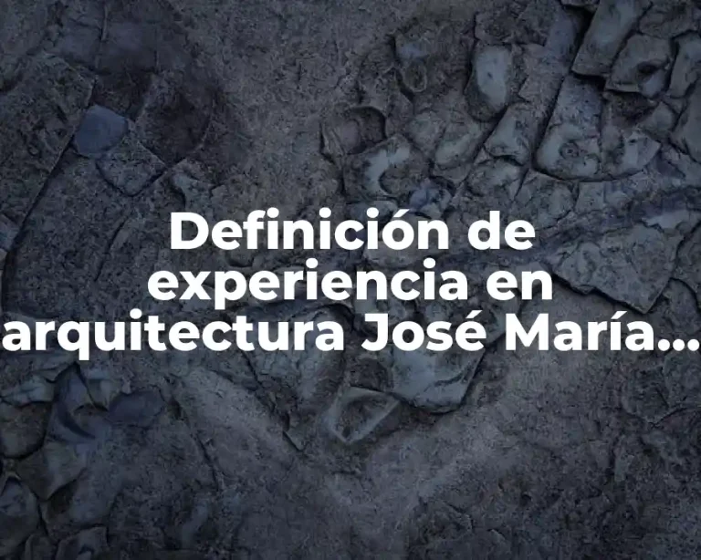 Definición de experiencia en arquitectura José María Montaner