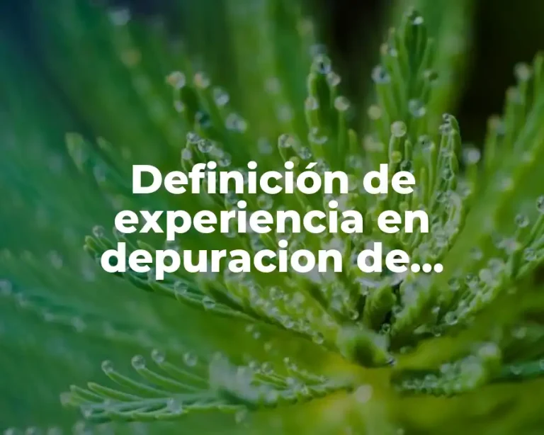 Definición de experiencia en depuracion de solicitudes